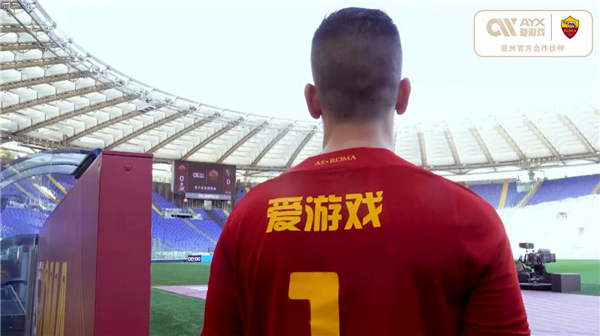 替代性